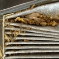 Do Air Filters Really Need to Be Changed? A Comprehensive Guide
